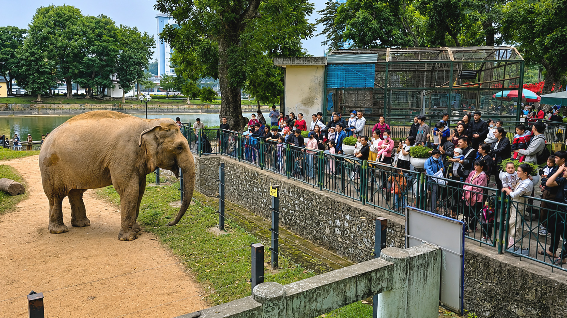 Công viên Thủ Lệ (トゥーレ公園)